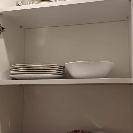 Hill Tammymatty * Kopaonik