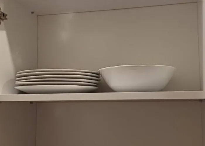 Hill Tammymatty * Kopaonik